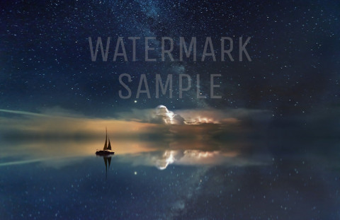 How to Use Watermarks to Protect Your Photographs